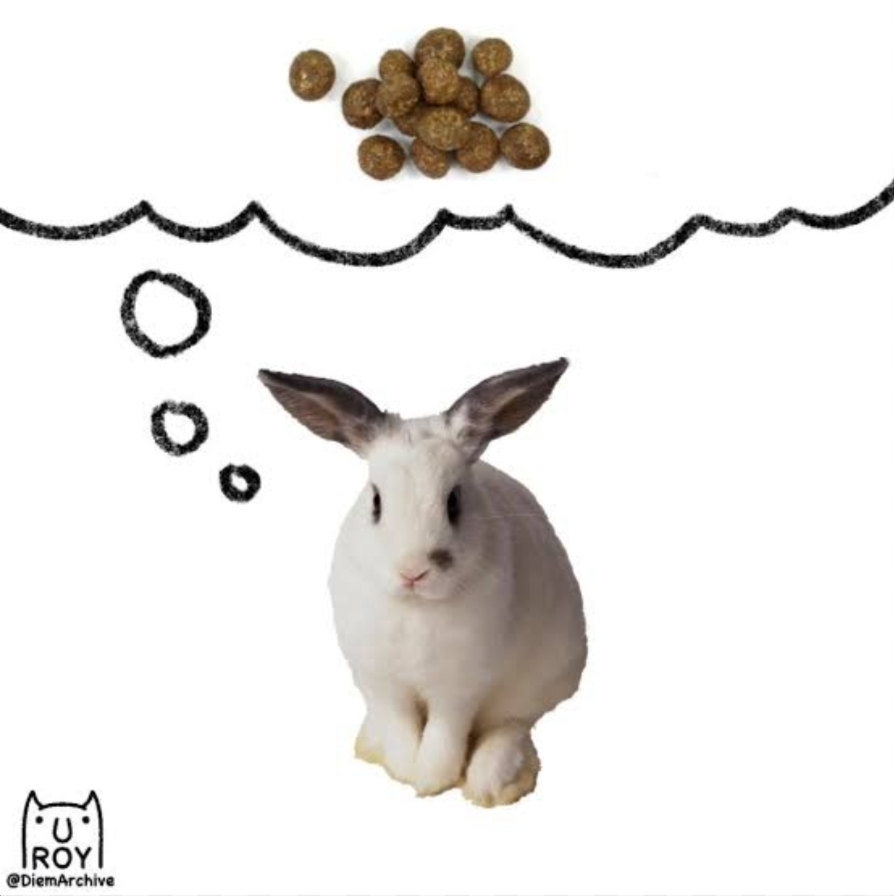 Greedy Rabbit Blank Meme Template