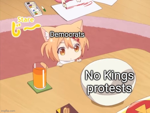 What's going on in California | Democrats; No Kings protests | image tagged in maa staring | made w/ Imgflip meme maker