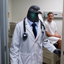 Pigeon doctor Blank Meme Template