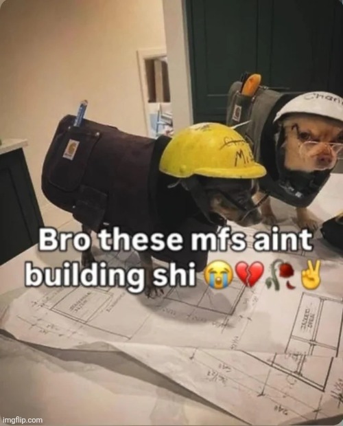 image tagged in msmg | made w/ Imgflip meme maker