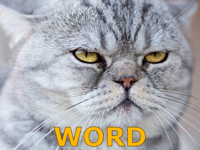 Word | made w/ Imgflip meme maker