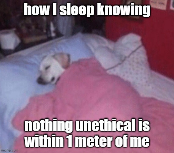 how i sleep knowing ethics | how I sleep knowing; nothing unethical is
within 1 meter of me | image tagged in how i sleep at night,ethics,nimby,proximity,horror | made w/ Imgflip meme maker