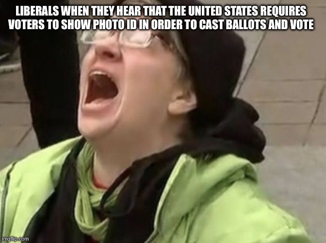 The 100-Decibel Ballot | Liberals when they hear that the United States requires voters to show photo ID in order to cast ballots and vote | image tagged in screaming liberal woman,liberal logic,screaming liberal,angry liberal,democrats,screaming at the sky | made w/ Imgflip meme maker