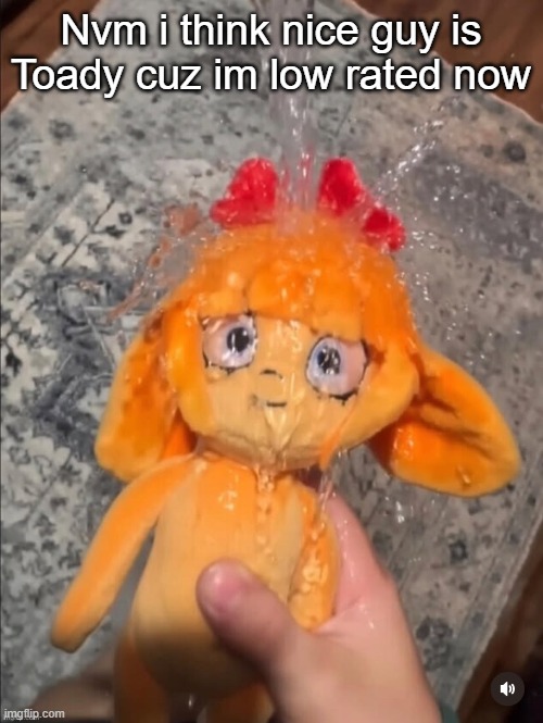 mymy showe | Nvm i think nice guy is Toady cuz im low rated now | image tagged in mymy showe | made w/ Imgflip meme maker