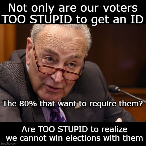 Chuckles with the quiet part out loud | Not only are our voters TOO STUPID to get an ID; The 80% that want to require them? Are TOO STUPID to realize we cannot win elections with them | image tagged in schumer voter id meme | made w/ Imgflip meme maker