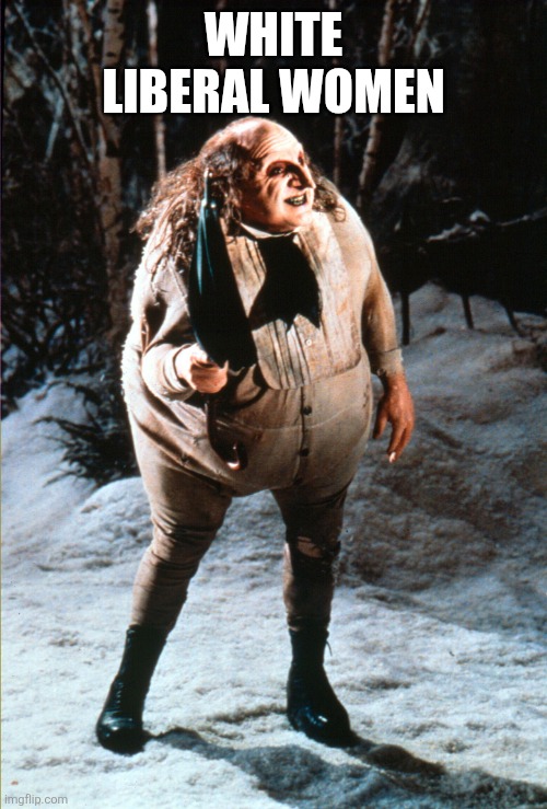 White Liberal Women | White liberal women | image tagged in liberal white women,triggered liberal,triggered feminist,political meme,politics | made w/ Imgflip meme maker