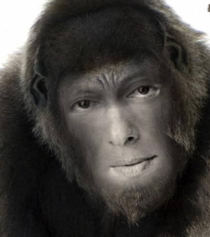 Salman khan monkey Blank Meme Template