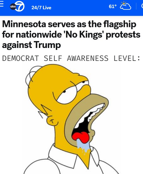 Democrat Self awareness level: | image tagged in homer simpson drooling,democrats,funny,politics | made w/ Imgflip meme maker