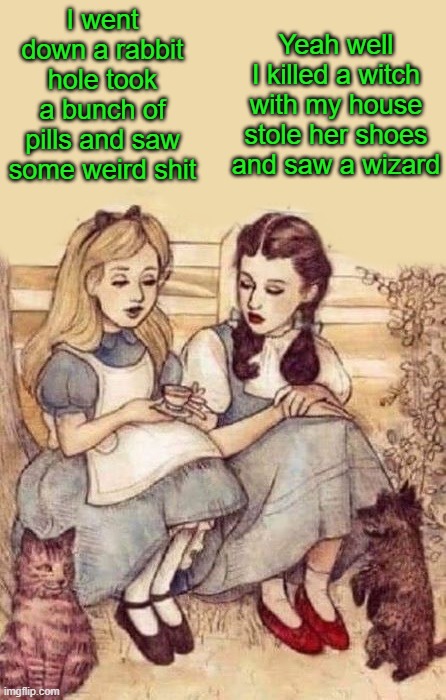 OH yeah! | Yeah well I killed a witch with my house stole her shoes and saw a wizard; I went down a rabbit hole took a bunch of pills and saw some weird shit | image tagged in alice in wonderland,dorothy wizard of oz,kewlew | made w/ Imgflip meme maker