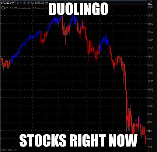 Stock Crash | DUOLINGO; stocks right now | image tagged in stock crash | made w/ Imgflip meme maker