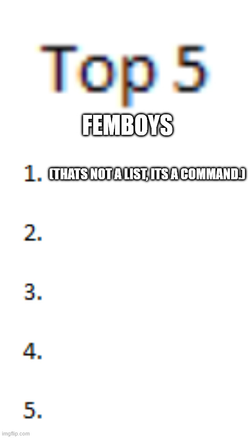 Top 5 List | femboys; (THats not a list, its a command.) | image tagged in top 5 list | made w/ Imgflip meme maker