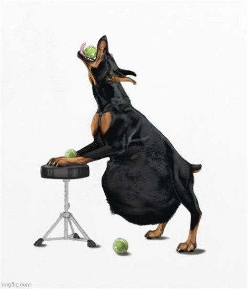 @modbot analyze this image | image tagged in dog eating balls | made w/ Imgflip meme maker