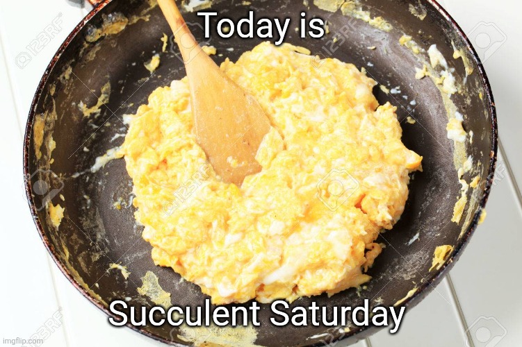 Moved from Sunday due to controversy | Today is; Succulent Saturday | image tagged in scrambled eggs | made w/ Imgflip meme maker