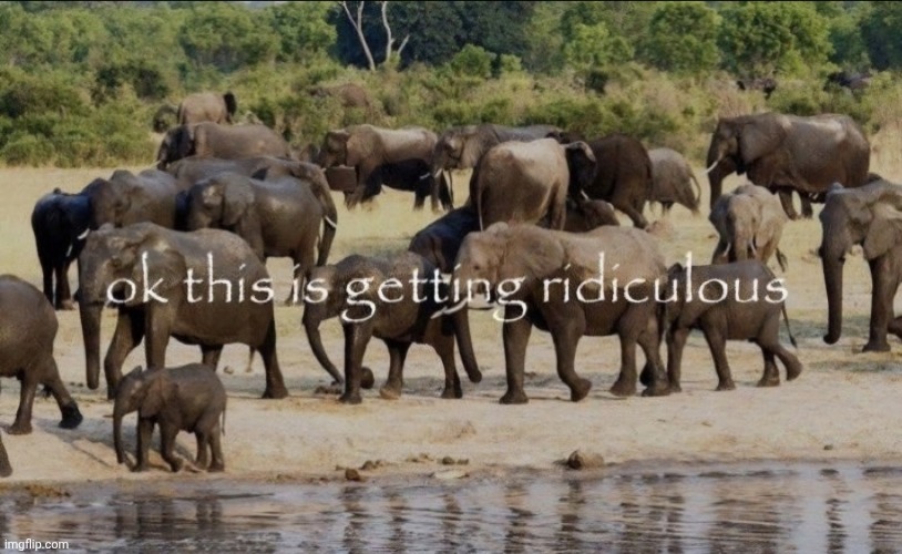 ok this is getting ridiculous | image tagged in ok this is getting ridiculous | made w/ Imgflip meme maker
