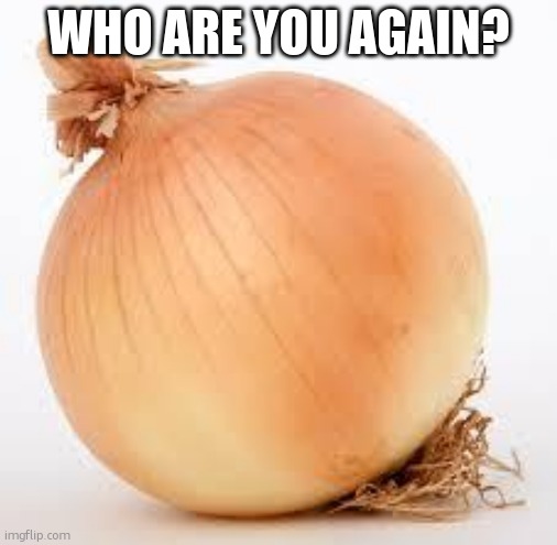 Onion | who are you again? | image tagged in onion | made w/ Imgflip meme maker