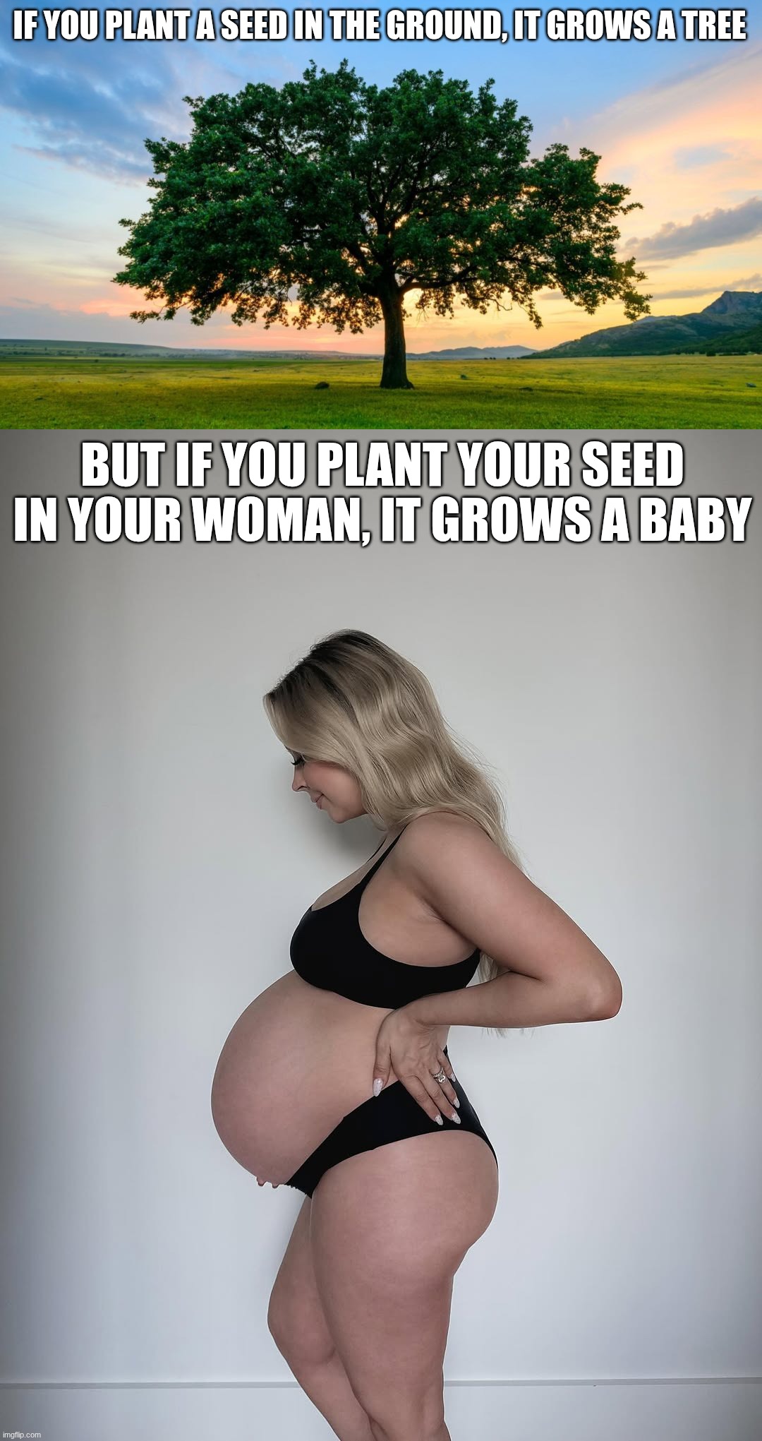 it's all about science | if you plant a seed in the ground, it grows a tree; but if you plant your seed in your woman, it grows a baby | image tagged in trees meaning of life,pregnant blonde woman ready to pop,pregnant,seeds,tree,science | made w/ Imgflip meme maker