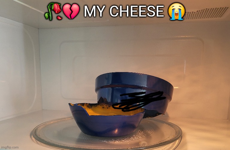 the whole thing blew off and hit the top of the microwave | 🥀💔 MY CHEESE 😭 | made w/ Imgflip meme maker