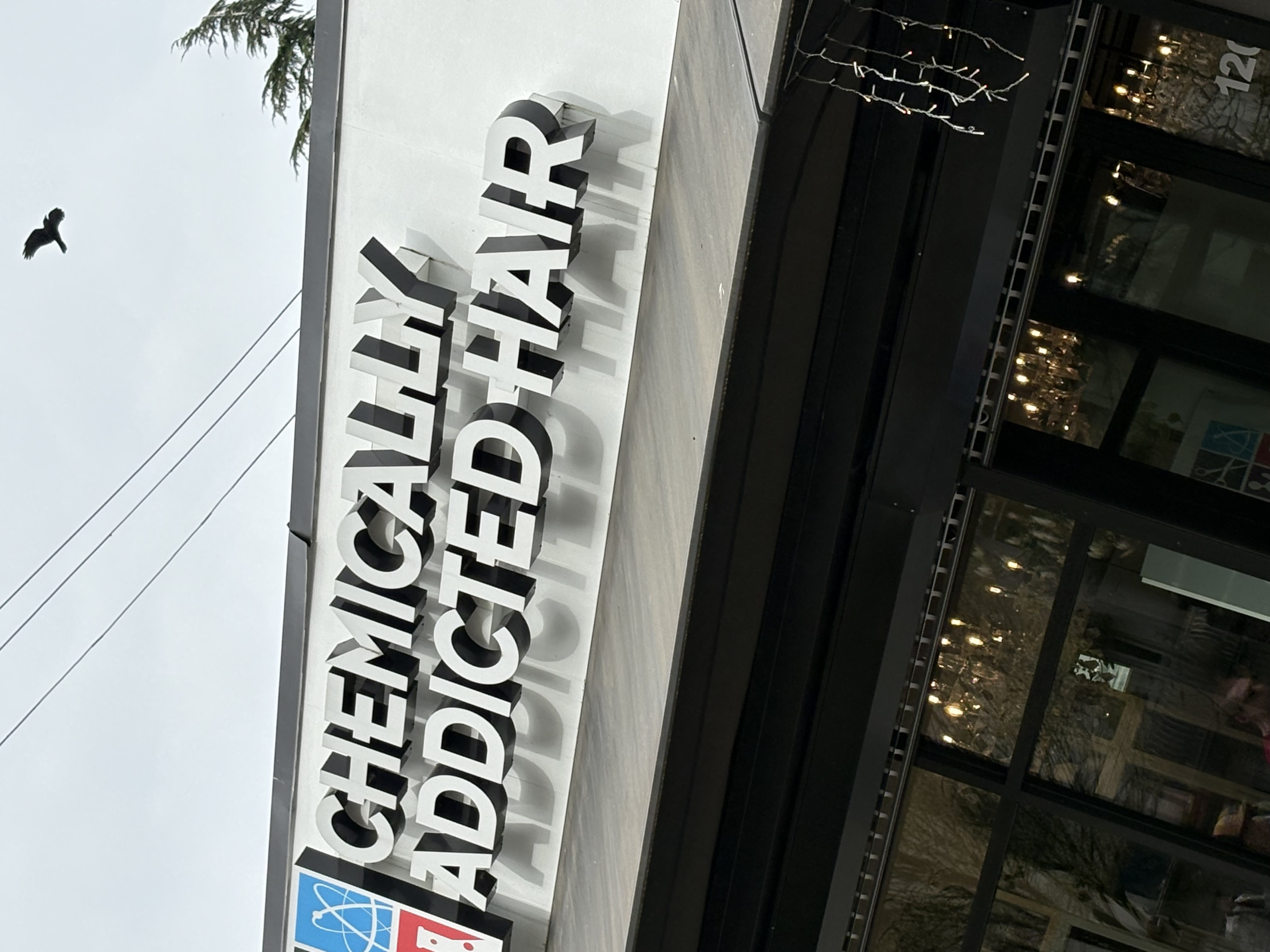 coloured hair Blank Meme Template