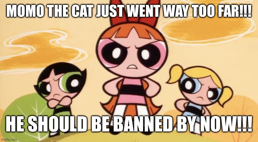 Blossom scolds Momo the Cat | Momo the Cat just went way too far!!! He should be banned by now!!! | image tagged in blossom scolds who | made w/ Imgflip meme maker