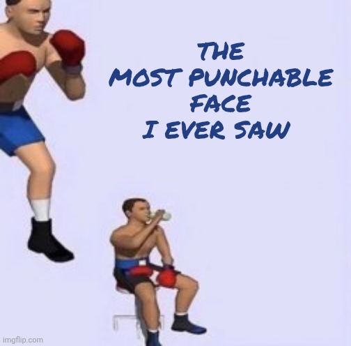 The most punchable face I ever saw | image tagged in tired boxer | made w/ Imgflip meme maker