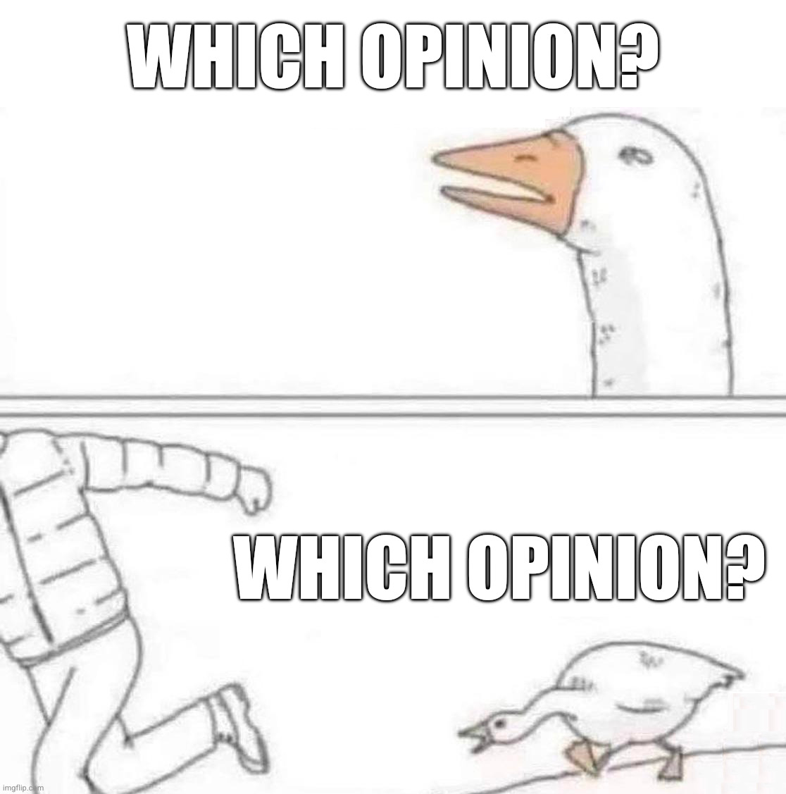 Goose Chase | Which opinion? Which opinion? | image tagged in goose chase | made w/ Imgflip meme maker