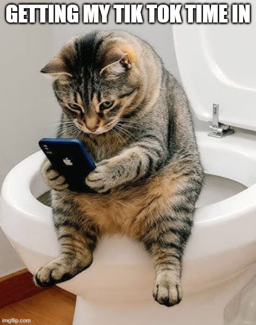 Potty Kitty | getting my tik tok time in | image tagged in cats | made w/ Imgflip meme maker