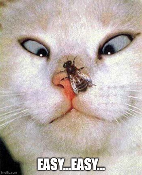 Sting | Easy...easy... | made w/ Imgflip meme maker