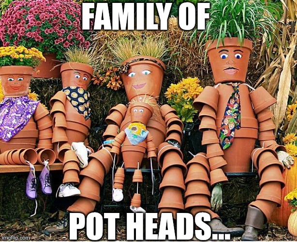 Family Of Pot Heads | Family of; Pot heads... | image tagged in chrisjoines1 | made w/ Imgflip meme maker