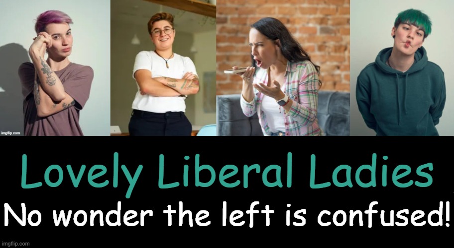 “Houston, we’ve had a problem." | Lovely Liberal Ladies; No wonder the left is confused! | image tagged in liberal women,confused confusing confusion,gender confusion,that awkward moment,crazy people,liberals vs conservatives | made w/ Imgflip meme maker