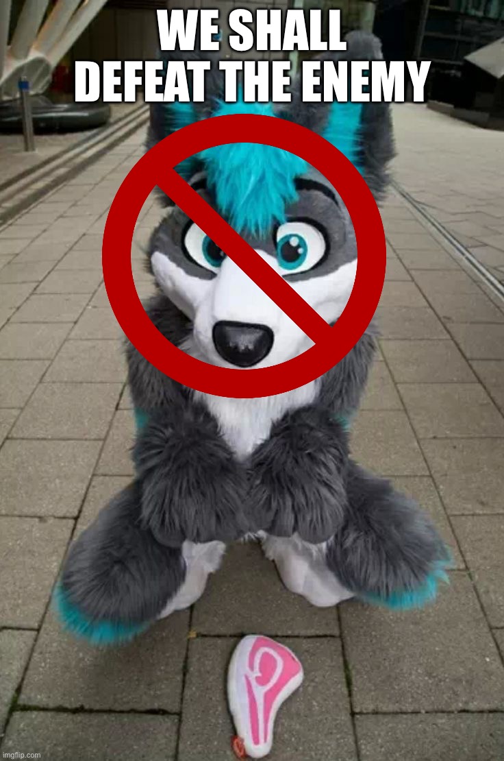 Furry | we shall defeat the enemy | image tagged in furry | made w/ Imgflip meme maker