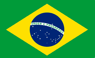 Bandeira do Brasil Blank Meme Template