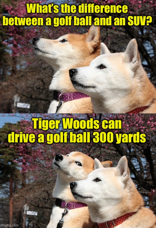 Tiger Woods | What’s the difference between a golf ball and an SUV? Tiger Woods can drive a golf ball 300 yards | image tagged in bad pun dogs,tiger woods | made w/ Imgflip meme maker