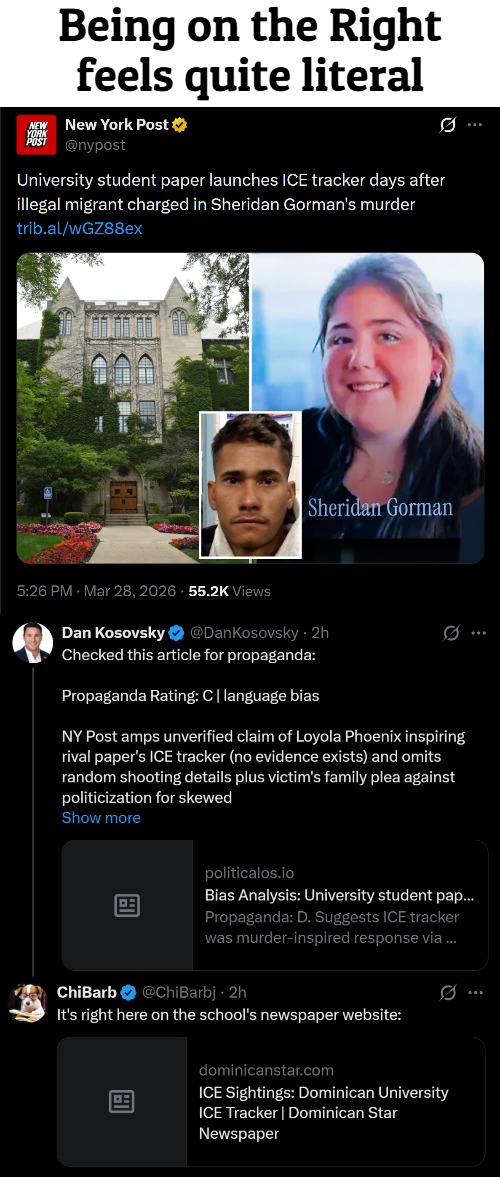 Illegal. "Language bias" when that's the Liberal standard. All the left ever has is trifles and Democrat "fact checkers" | Being on the Right feels quite literal | image tagged in tweets,politics,propaganda | made w/ Imgflip meme maker