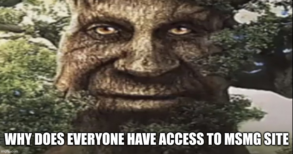 Wise mystical tree | why does everyone have access to msmg site | image tagged in wise mystical tree | made w/ Imgflip meme maker