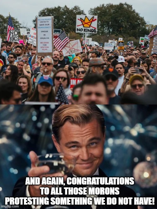 No Kings | And again, congratulations to all those morons protesting something we do not have! | image tagged in memes,leonardo dicaprio cheers | made w/ Imgflip meme maker
