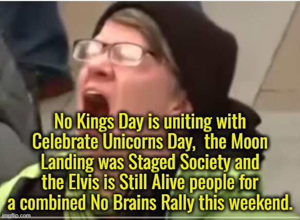 Could we just send all of the No Kings protesters to a nation ruled by a real king so they can get a clue? | No Kings Day is uniting with Celebrate Unicorns Day,  the Moon Landing was Staged Society and the Elvis is Still Alive people for a combined No Brains Rally this weekend. | image tagged in trump is not a king,trump is not a dictator,trump is not your enemy,trump is not who you think he is | made w/ Imgflip meme maker