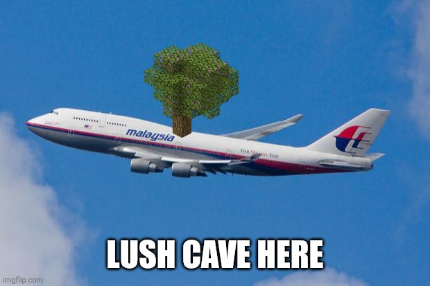 Lush cave here | image tagged in malaysia airplane | made w/ Imgflip meme maker