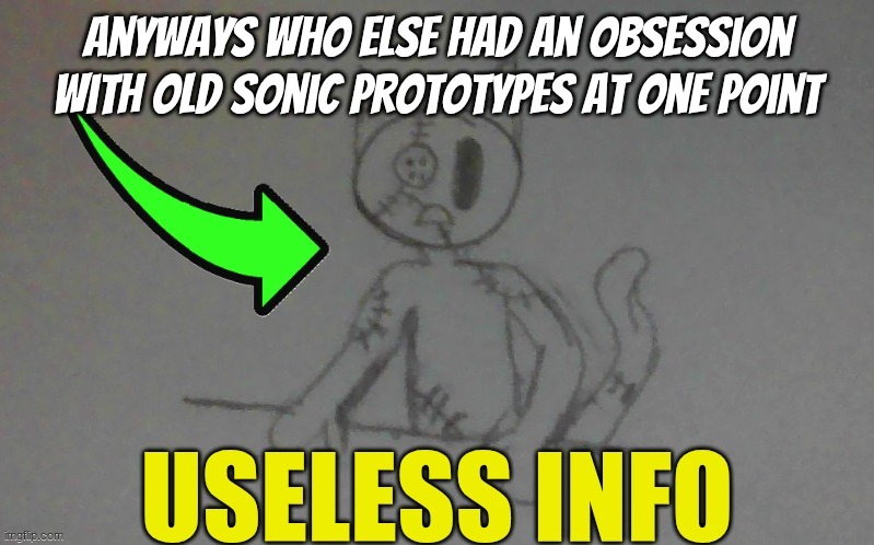puffy useless info | anyways who else had an obsession with old sonic prototypes at one point | image tagged in puffy useless info | made w/ Imgflip meme maker