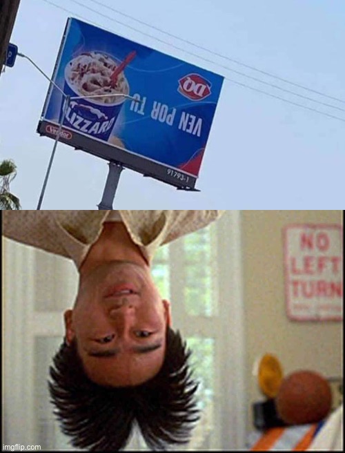 Long Duck Dong (upside down) | image tagged in long duck dong upside down | made w/ Imgflip meme maker