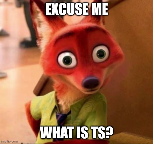 excuse me what is ts? | made w/ Imgflip meme maker