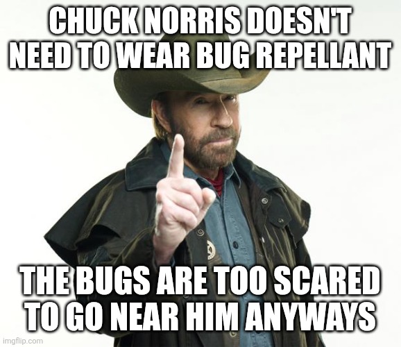 Another Chuck Norris meme to honor him | Chuck norris doesn't need to wear bug repellant; The bugs are too scared to go near him anyways | image tagged in memes,chuck norris finger,chuck norris,chuck norris week | made w/ Imgflip meme maker