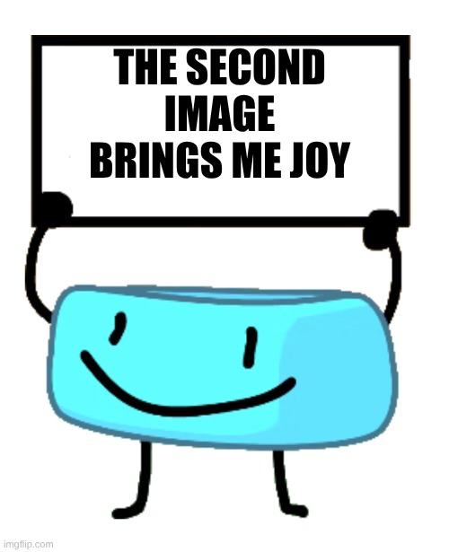 Bracelety Sign | the second image brings me joy | image tagged in bracelety sign | made w/ Imgflip meme maker