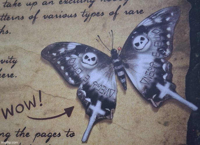 Copyright Infringing Butterfly | image tagged in copyright infringing butterfly | made w/ Imgflip meme maker