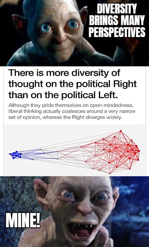 The friendliness is a political conversion strategy. Doesn't work without even larger amount of demonization of the right ofc | Diversity brings many perspectives; MINE! | image tagged in leftists,politics,diversity,gollum | made w/ Imgflip meme maker