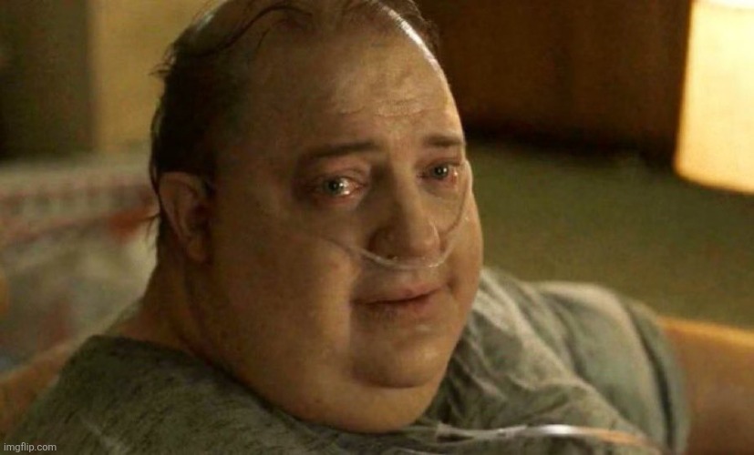 They just look at you like this | image tagged in they just look at you like this | made w/ Imgflip meme maker