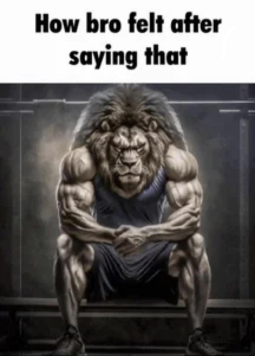 how bro felt after saying that | image tagged in how bro felt after saying that | made w/ Imgflip meme maker