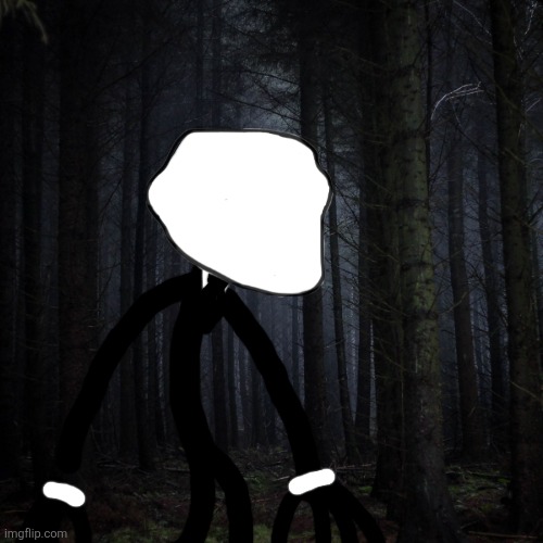 Slender | image tagged in dark forest | made w/ Imgflip meme maker