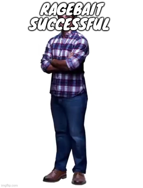 Sonic guy | Ragebait successful | image tagged in sonic guy | made w/ Imgflip meme maker