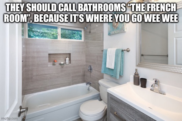 Would this be considered potty humor? | They should call bathrooms “the French room”, because it’s where you go wee wee | image tagged in bathroom,french,wee wee,oui oui | made w/ Imgflip meme maker