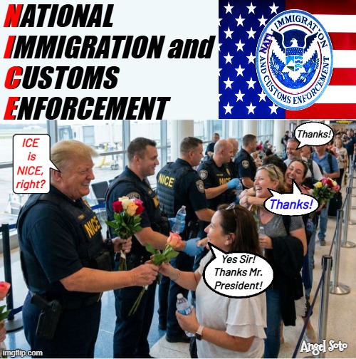 Trump says ICE is NICE | N
I
C
E; NATIONAL
IMMIGRATION and
CUSTOMS
ENFORCEMENT; NAT'l; Thanks! ICE
  is 
NICE,
right? Thanks! Yes Sir!
Thanks Mr.
President! Angel Soto | image tagged in trump changes ice to nice,president trump,ice,nice,homeland security,us immigration and customs enforcement | made w/ Imgflip meme maker